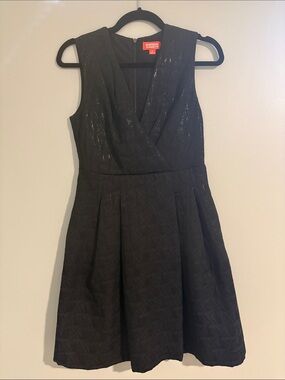 Kirna Zabete Black Textured V-Neck Fit & Flare Mini Dress